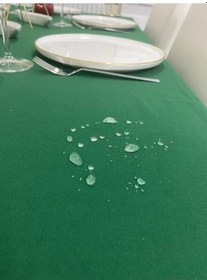 Resim Sıvı Geçirmez Dertsiz Masa Örtüsü Koyu Yeşil 25 Parça 