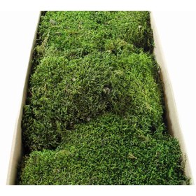 Resim OSKARYUM Orkide Toprağı, Canlı Yosun, Spagnum Yosun, Teraryum Yosunu 10 LT 
