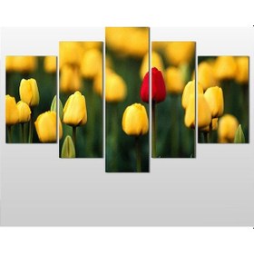 Resim Sarı Laleler Kanvas Tablo 155x90cm 