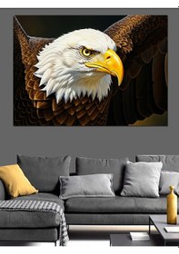 Resim Ahşap Tablo Yakın Çekim Vakur Kel Kartal 