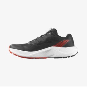 Resim Salomon Pulsar 479754 Çok Renkli 