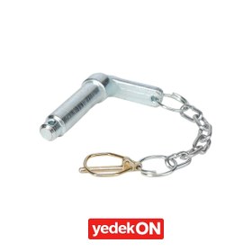 Resim AGCO Pim ve Zincir - Fendt | F931502165230 