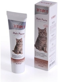 Resim Orqinel Vitapet Malt Paste 100 Gr. ( Kediler Için Tüy Yumağı Önleyici Malt Macunu ) 