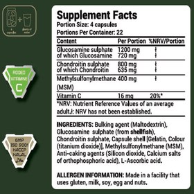 Resim ARMY 1 Joint Support Glucosamine Chondroitin sulphate Msm 90 Caps 