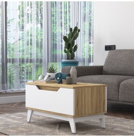 Resim Rani Mobilya Rani Ab101 Orta Sehpa Modern Ayaklı Kapaklı Keçe Ceviz - Beyaz 