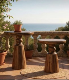 Resim AYLESA Doğal Ahşap 2’li Set Mantar Yan Sehpa Modern Fiskos Zigon Çiçeklik 