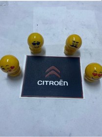 Resim Torpido Üstü Kaydırmaz Ped, 4 Adet Zıpzıp Kafa Citroen 