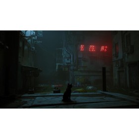 Resim Annapurna Interactive Stray Simülasyon Oyunu Nintendo Switch 