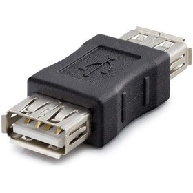 Resim Büro Ev Ofis Network Dönüştürücü İçin Siyah Usb F To Usb F Çevirici 