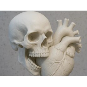 Resim Kafatası ve Kalp Beyaz Heykel - Özgün Tasarım 3D Baskı 