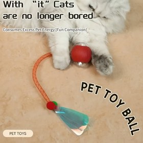 Resim Etkileşimli Elektrikli Kedi Oyuncakları Otomatik Rulo Top ve Sahte Kuyruk ile - USB Şarj Edilebilir, Güvenli Silikon Yapı, Otomatik Takip Hareketi İç Mekan/Dış Mekan Oyunları için - Tüm Kediler ve Irkları için İdeal, Lityum-Polimer Pil Güçlü Evcil Hayvan Egzersiz Oyuncakları, Etkileşimli Kedi, Oyun Sever Tasarım, Dayanıklı Evcil Hayvan Malzemesi 
