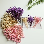 Resim 1/2 Kutu Karışık Renkler Dış Mekan Yapay Nefes Çiçekleri - Ev Dekoru, DIY, Kart Dekorasyonu, Resim Çerçevesi Süsü, Hediye, Ofis, Düğün, Doğum Günü ve Tatiller İçin Suni Çiçekler - Çiçek Tutkunları İçin Mükemmel Hediye 