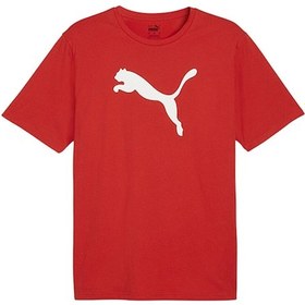 Resim Puma Teamrise Logo Jersey Cotton Erkek Günlük Tişört 65870501 Kırmızı 65870501 Kırmızı 
