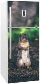 Resim Buzdolabı Kapağı Kaplama Sticker 0016 BUZS000016 