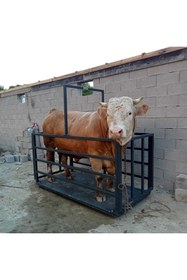 Resim YILDIRIM TARTI Yıldırım Plus 100x200 Cm 3 Ton Özel Üretim Hayvan Baskülü 