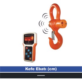 Resim TEM Wd 15 Ton 5 Kg Kablosuz Vinç Tartım Baskülü (onaysız) 