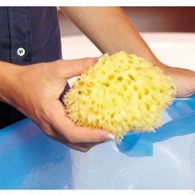 Resim Okbaby Doğal Banyo Süngeri Orta 
