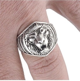 Resim idolavm Aslan Tasarım Ayarlanabilir Motorcu Erkek Yüzük y24 t5 Çok Renkli 