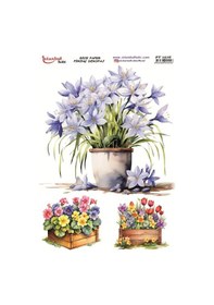 Resim Pirinç Dekopaj Kağıdı 30x42cm Pt-1516 