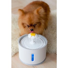 Resim Kamardey Pet Kedi Köpek Için Otomatik Su Pınarı Su Çeşmesi Su Sebili 2.4 Lt USB ile Çalışır 