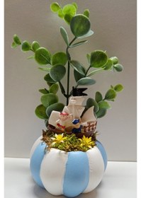 Resim Neolife Yeni Doğan Erkek Bebek Hediyesi Doğum Tebrik Hediyesi Denizci Temalı Kabak Teraryum 