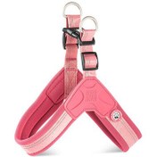 Resim Max Molly Matrix 2.0 Akıllı Künyeli Q-Fit Köpek Göğüs Tasması - Rose (XXS) 