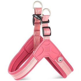 Resim Max Molly Matrix 2.0 Akıllı Künyeli Q-Fit Köpek Göğüs Tasması - Rose (XXS) 