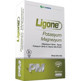 Resim Ligone Potasyum Magnezyum 60 Kapsül 