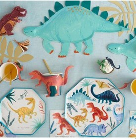 Resim Meri Meri - Stegosaurus Platters - Dinozor Servis Tabağı 