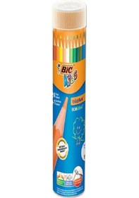 Resim Bic Kids Evolution Metal Tüp 24+1 Renk Kuru Boya Kalemi 