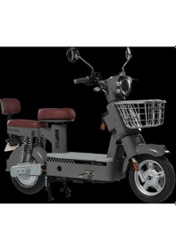 Resim Motolux Go55 Elektrikli Motosiklet Gri 
