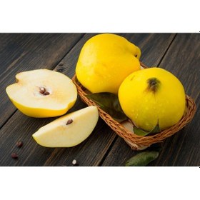 Resim Tüplü Limon Ayvası Fidanı 
