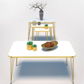 Resim Zigon Sehpa Kr Ve Orta Sehpa Kr Set Gold Beyaz Tel 1109 Diğer 