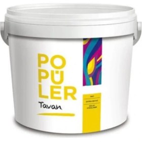 Resim Polisan Popüler Tavan Boyası Mat Beyaz 10 kg 