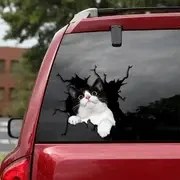 Resim Eğlenceli Gözetleyen Kedi Araç Dekoru - Siyah Beyaz Yavru Kedi Desenli, Su Geçirmez ve Dayanıklı Vinil Çıkartma | Arabalar, Kamyonlar, Camlar, Laptoplar, Buzdolapları İçin | Kolay Uygulanır ve Çıkarılır, Kalıntı Bırakmaz, Laptop Süslemesi 