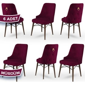 Resim Canisa Concept Pare Serisi, Sandalye, 6 Adet Sandalye, Ceviz Gürgen Ayak 