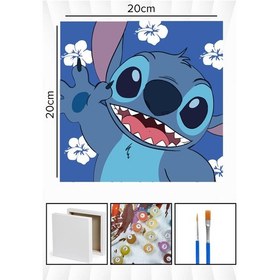 Resim Sayılarla Boyama 20x20 Cm Tuval Seti Fırça Boya Dahil Çıtaya Gerili - Stick Çiçek 