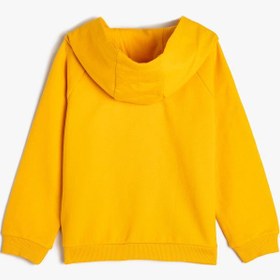 Resim Erkek Bebek Kapşonlu Sweatshirt Uzun Kollu Aslan Baskılı Pamuklu 