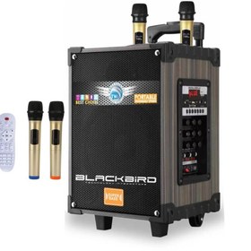 Resim Hepu Hp-925 Taşınabilir Şarjlı 10 İnç 40W Bluetooth Hoparlör 