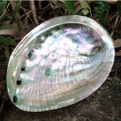Resim 1 adet/3 adet Abalone Kabuk Kase, 10.16-11.43 cm Büyük Taş Bulaşma Kase Tütsü Brülörü, Adaçotu Yakma, Ev Dekorasyonu, Oda Dekorasyonu, Yoga Stüdyosu, Kamp, Bahçe, Veranda, Klasik Mum Işığı Yemek Aksesuarları 