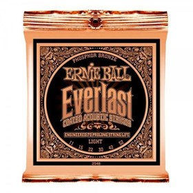 Resim Ernie Ball P02548 Everlast Akustik Gitar Teli (Light) 