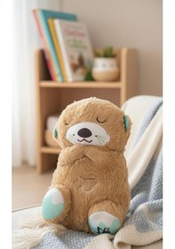 Resim Uyku Ve Oyun Arkadaşı Su Samuru Kahverengi 