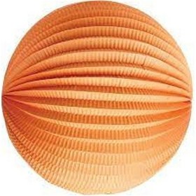 Resim Karpuz Fener Turuncu 20 CM 