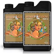 Resim Advanced Nutrients Sensi Bloom Coco A-B Ph Perfect 500 ML 