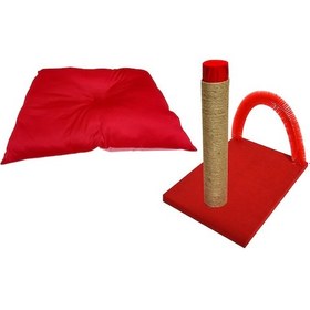 Resim BioSand BS-SET08 Kedi Taşıma Minderi ve Kaşımalı Tırmalama Seti 