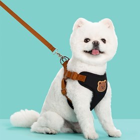 Resim Köpekler için 152.4cm Polyester, Şarj Edilmeyen, Pilsiz, Açık Hava Yürüyüşü İçin 