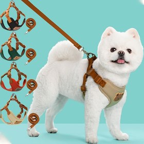 Resim Şık Pet Köpek Tasması ve Tasma Seti - Katı Renk Teddy Bear Tasarımı, Ayarlanabilir Göğüs Kayışı, Dayanıklı Polyester, Temizlemesi Kolay, Küçükten Orta Boy Köpekler İçin İdeal, Güvenli ve Rahat Uyum, Pet Tasması, Pilsiz 
