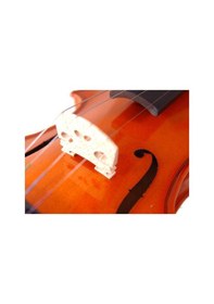 Resim Stentor 1018/F Standart Keman 1/4 