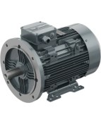 Resim Omega Motor 4 Kw, 3000 Devir, B35 Ayaklı Flanşlı 
