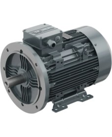 Resim Omega Motor 4 Kw, 3000 Devir, B35 Ayaklı Flanşlı 